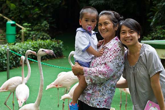 Singapore child photography