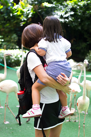 Singapore child photography