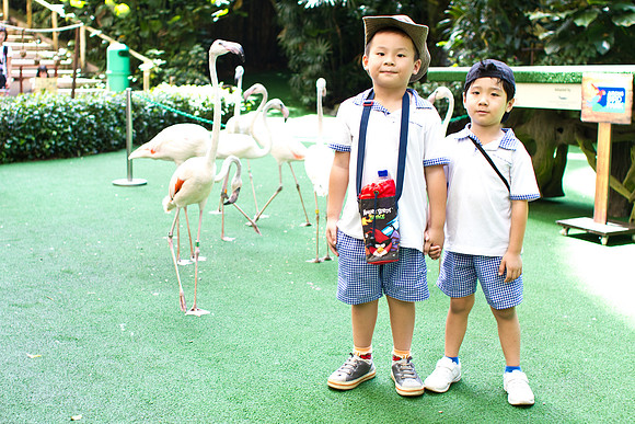 Singapore child photography