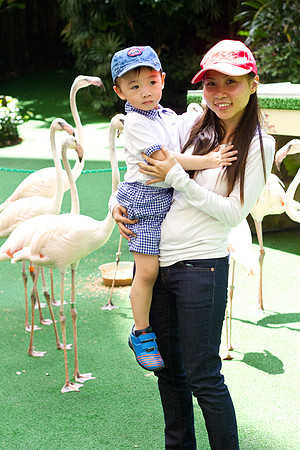 Singapore child photography