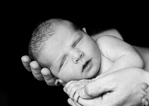 Chicago family photography