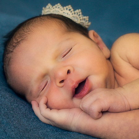 Chicago family photography