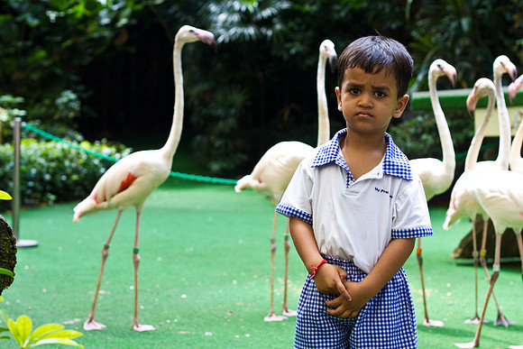 Singapore child photography