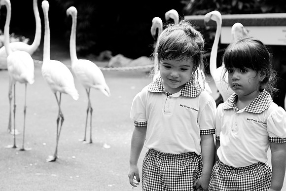 Singapore child photography
