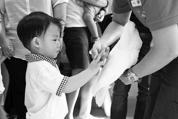 Singapore child photography