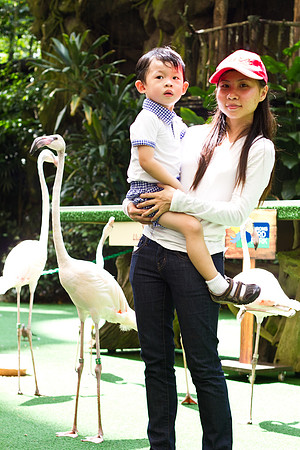 Singapore child photography