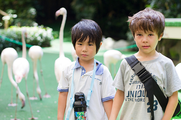 Singapore child photography