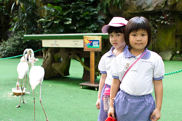 Singapore child photography
