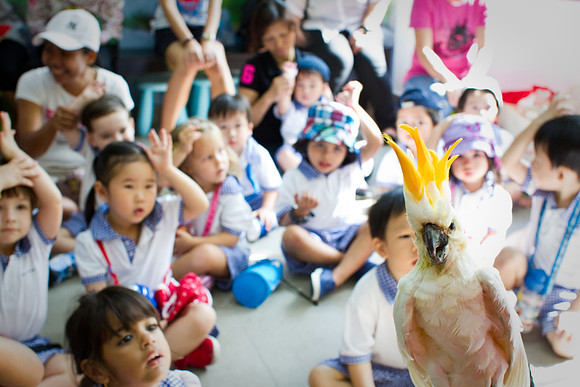 Singapore child photography