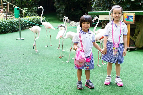 Singapore child photography