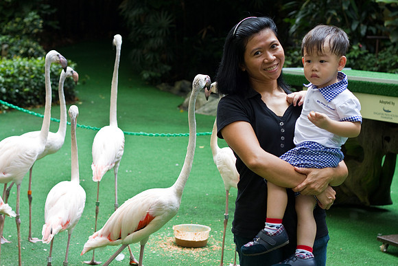 Singapore child photography
