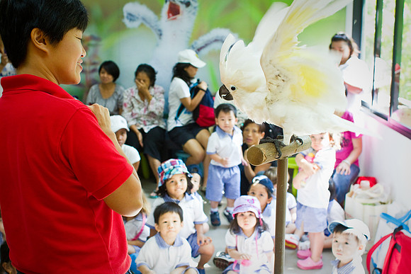 Singapore child photography