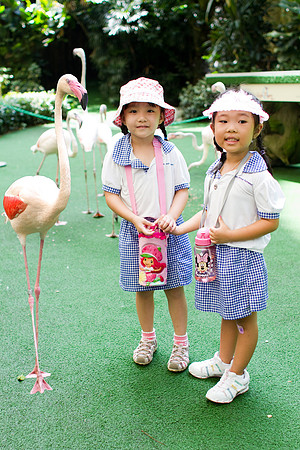 Singapore child photography